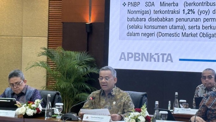 Wakil Menteri Keuangan Suahasil Nazara