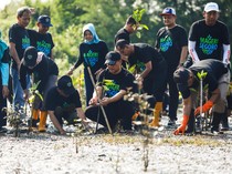 Ahmad Luthfi Pimpin Penanaman Jutaan Bibit Mangrove Secara Serentak