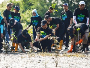 Ahmad Luthfi Pimpin Penanaman Jutaan Bibit Mangrove Secara Serentak