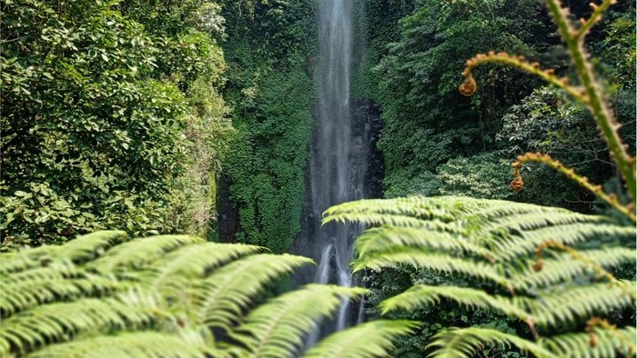 Air Terjun Puthuk Truno