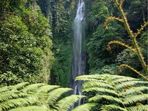 Air Terjun Putuk Truno Prigen, Keindahan Alam yang Bikin Adem Jiwa