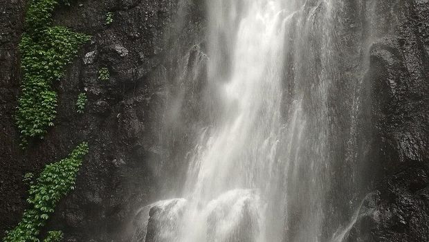 Air Terjun Puthuk Truno Air Terjun Puthuk Truno