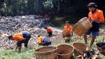 Bersih-Bersih Sungai Cikaret, Sampah Didominasi Limbah Rumah Tangga