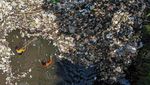 Bersih-Bersih Sungai Cikaret, Sampah Didominasi Limbah Rumah Tangga