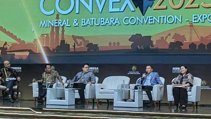 Direktur Strategi dan Tata Kelola Hilirisasi Kementerian Investasi dan Hilirisasi/BKPM, Ahmad Faisal Suralaga.