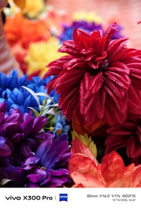 Hasil foto Vivo X300 Pro di Disneyland Shanghai