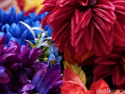 Memotret Wajah-wajah Gembira di Disneyland Shanghai Memakai Vivo X300 Pro