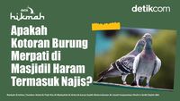 Apakah Kotoran Burung Merpati di Masjidil Haram Termasuk Najis?