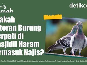 Apakah Kotoran Burung Merpati di Masjidil Haram Termasuk Najis?