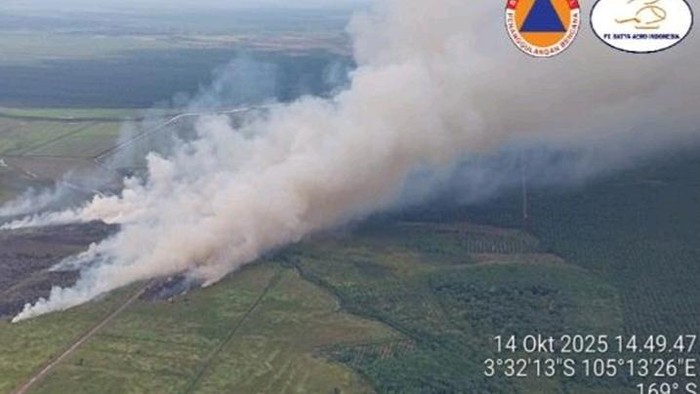 Lahan cetak sawah di OKI terbakar.