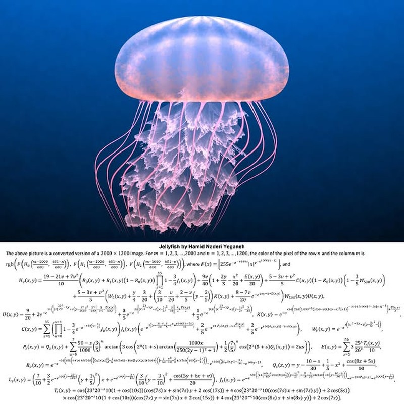 Karya Hamid Naderi Yeganeh