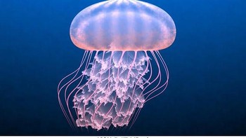 Hamid nggak pakai kuas atau cat sama sekali. Ia cuma ngetik deretan angka dan simbol di komputer—dan hasilnya? Gambar-gambar yang kelihatan hidup, dari burung, badai, sampai ombak tsunami! Foto: Instagram/hamidnaderiyeganeh