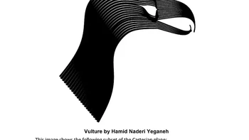 Hamid pertama kali tertarik ketika ia masih kuliah matematika di University College London (UCL). Awalnya cuma eksperimen iseng, tapi makin lama ia sadar: angka-angka itu bisa jadi alat paling jenius untuk menggambar bentuk alami di dunia nyata. Foto: Instagram/hamidnaderiyeganeh