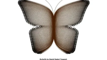 Karya lain yang nggak kalah keren adalah “Butterfly of Circles”, yaitu gambar kupu-kupu yang dibuat dari 40.000 lingkaran kecil. Ketika dizoom, tiap lingkaran punya warna berbeda yang disusun mengikuti fungsi eksponensial. Foto: Instagram/hamidnaderiyeganeh