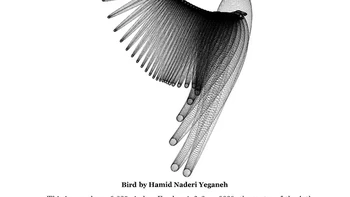 Salah satu karya terkenalnya berjudul “A Bird in Flight”, atau Burung Terbang. Lukisan ini dibuat hanya dari 500 segmen garis yang saling bertaut, membentuk siluet seekor burung mengepak sayap di udara. Foto: Instagram/hamidnaderiyeganeh