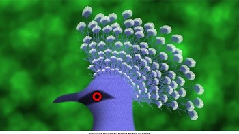 Netizen kagum karena hasil visualnya realistis banget, padahal murni hasil dari rumus matematika. “Ini bukti kalau logika bisa lebih indah dari imajinasi,” tulis salah satu komentar. Foto: Instagram/hamidnaderiyeganeh