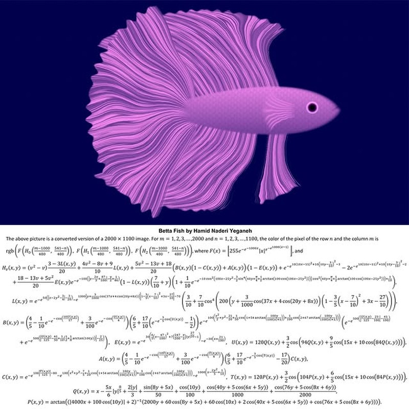 Karya Hamid Naderi Yeganeh