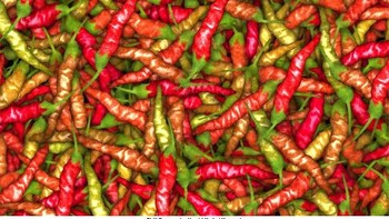 Dia menulis program komputer sendiri untuk menghasilkan titik-titik koordinat piksel. Setiap warna dan garis ditentukan berdasarkan rumus yang ia buat. Kadang hasilnya abstrak, kadang luar biasa realistis—mirip burung, ikan, bahkan peta benua! Foto: Instagram/hamidnaderiyeganeh