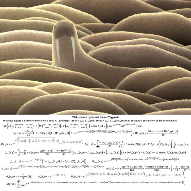 Karya Hamid Naderi Yeganeh