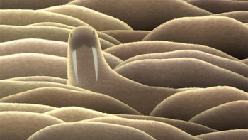 Buat Hamid, tujuannya sederhana: membuat orang nggak takut pada matematika. Ia percaya angka bisa jadi bahasa universal buat mengekspresikan keindahan alam semesta. Untuk melihat karyanya yang lain bisa klik di sini. Foto: Instagram/hamidnaderiyeganeh