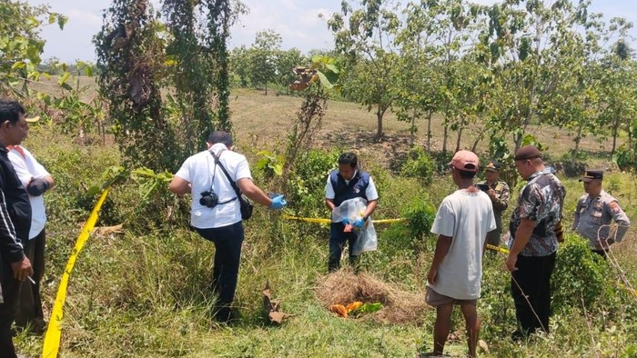 Lokasi penemuan mayat bayi di hutan jati Bojonegoro