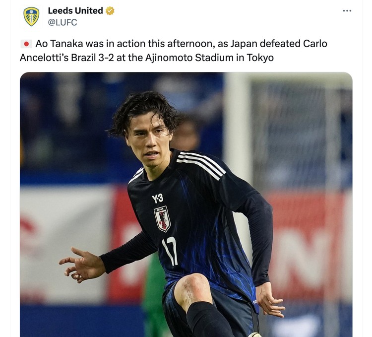 Meme Jepang Brasil
