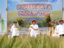 Pacu Produktivitas, Pemprov Jateng Dukung Lomba Panen Padi 10 Ton/Ha