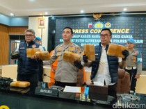 Kebun Bunga di Cianjur Jadi Kedok Ladang Ganja 6,4 Kg