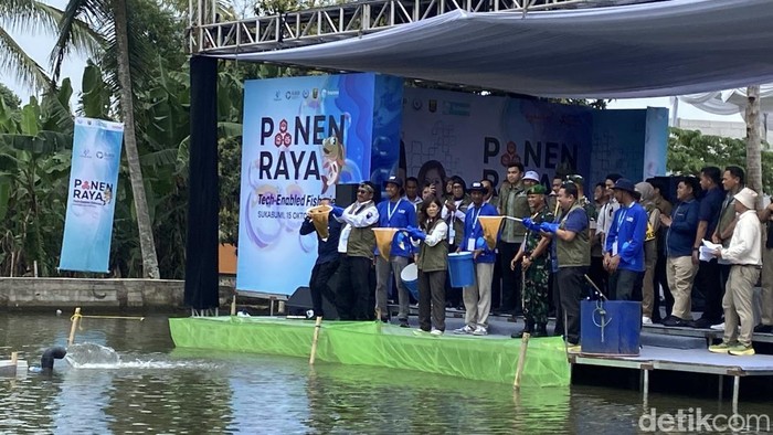 Saat Menkomdigi Meutya panen ikan hasil budidaya dengan menggunakan teknologi digital