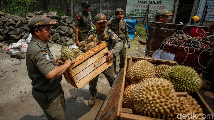 Satpol PP Bongkar Lapak Pedagang Nakal di Kalimalang Sejumlah petugas Satpol PP membongkar lapak pedagang liar di Jalan Laksamana Malahayati, Duren Sawit, Jakarta Timur, Rabu (15/10/2025).