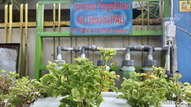 Suasana di RW 3, Tambakrejo, Surabaya yang menjadi bagian dari program Kampung Pancasila.