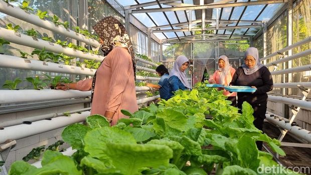 Suasana di RW 3, Tambakrejo, Surabaya yang menjadi bagian dari program Kampung Pancasila.