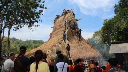 Pemasangan Atap Sao Ria di Ende NTT. (Penelitian Mukhtar, M. A. (2018) yang berjudul Tahapan Pembangunan Rumah Tradisional Sa’o Ria Sebagai Upaya Pelestarian Masyarakat Adat Suku Lio Dusun Nuaone Ende)