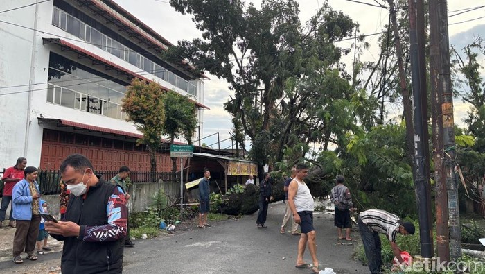 Pohon tumbang di Jalan Sempurna Ujung Medan