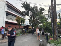Pohon Besar Tumbang di Sempurna Ujung Medan, Jalan Tertutup