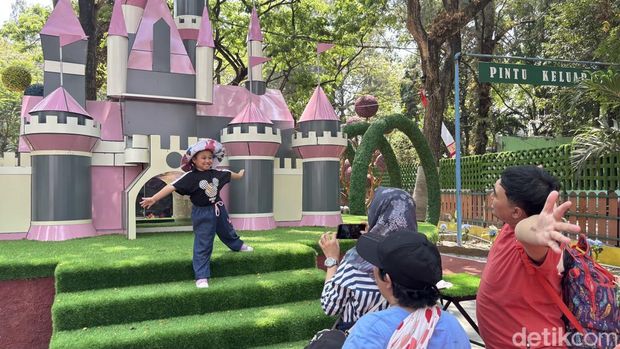 Rabbits In Wonderland