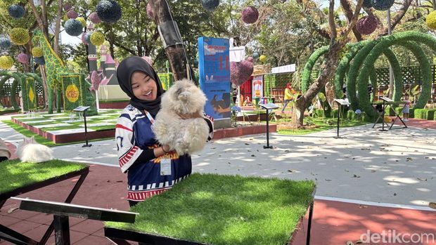 Rabbits In Wonderland