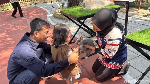 Rabbits In Wonderland