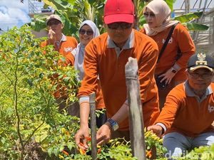 Antisipasi Cabai Mahal, Pemkot Mataram Anggarkan Rp 500 Juta Bangun Greenhouse