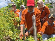 Antisipasi Cabai Mahal, Pemkot Mataram Anggarkan Rp 500 Juta Bangun Greenhouse