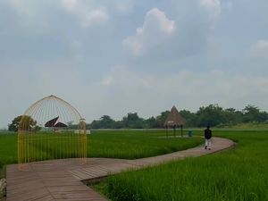Bermain dan Belajar di Taman Hutan Raya Jeruk Surabaya