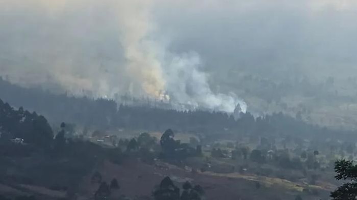 Visual kebakaran hutan di kawasan Taman Nasional Gunung Rinjani, Lombok Timur, NTB, Kamis (16/10/2025). (Foto: Tangkapan layar Instagram @btn_gn_rinjani)