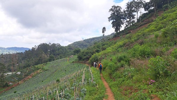 Ayah-Anak yang Hilang di Lembah Tengkorak Bandung Ditemukan!