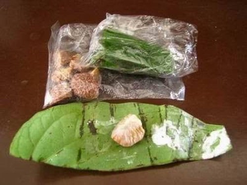Daun sirih, Buah Pinang, dan Kapur sirih (Pinterest : https://i.pinimg.com/736x/47/52/0e/47520ea41957701d99392771fb9903e3.jpg)