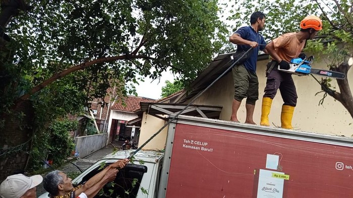 Relawan membersihkan material pohon tumbang yang dipicu hujan deras disertai angin kencang yang melanda wilayah Kabupaten Banyumas, Jumat (17/10/2025) petang.