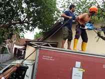 Hujan Angin Terjang Banyumas, Sejumlah Pohon Tumbang-Longsor