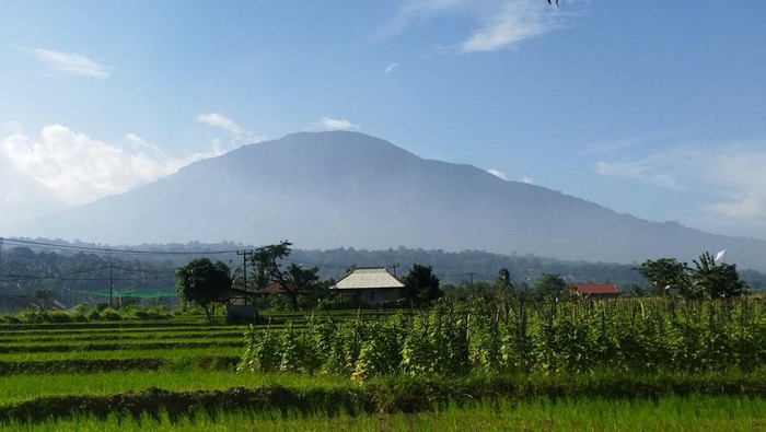 Gunung Pulosari di Pandeglang (Aris/detikcom)