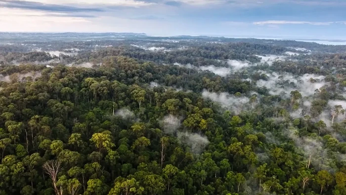 Hutan Lindung Sungai Wain di Balikpapan, Kalimantan Timur.