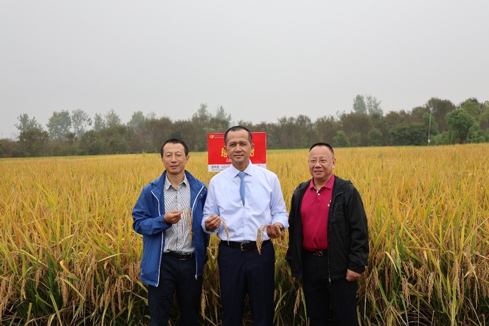 Kementrans Sebut Investor Wuhan Minat Kembangkan Kawasan Transmigran