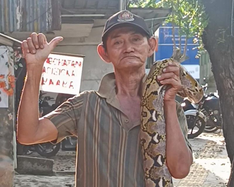 Lansia bentangkan ular di Kramat Jati